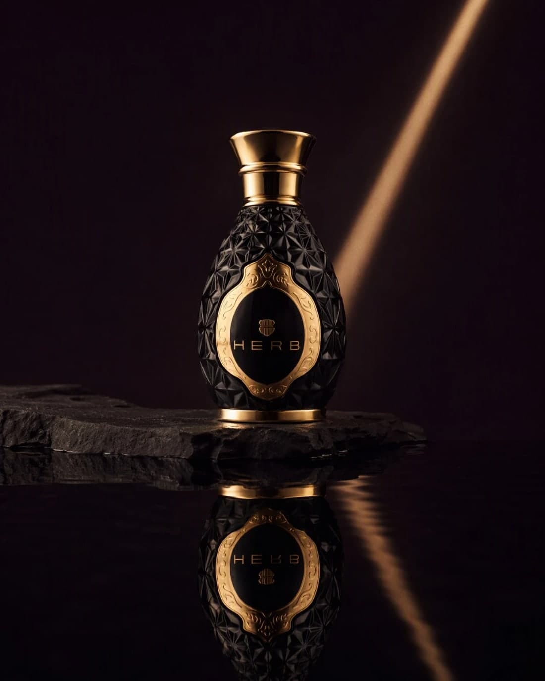 MODA NOIR
